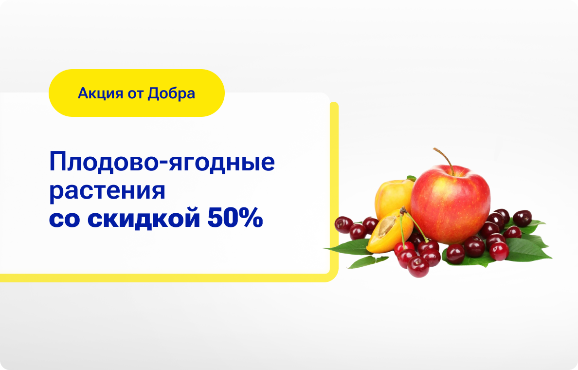 Акция в Садовом центре— теперь плодово-ягодные растения можно купить со скидкой 50%!